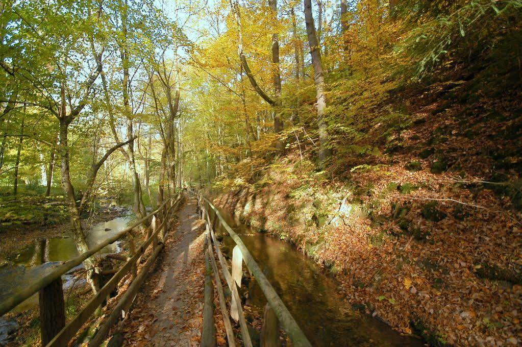 Hürtgenwald Waldhotel Im Wiesengrund المظهر الخارجي الصورة